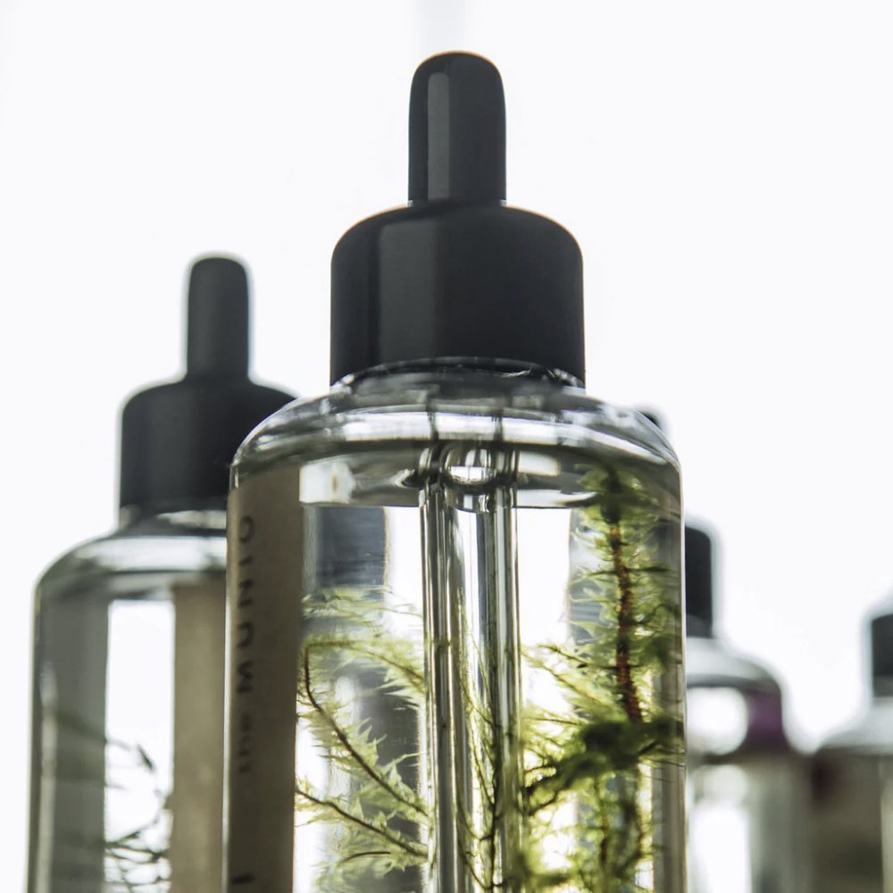Ulei organic de corp MOSS