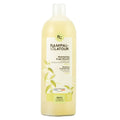 Rampal-Latour-gel-dus-sampon-organic-argila-verbina-1litru